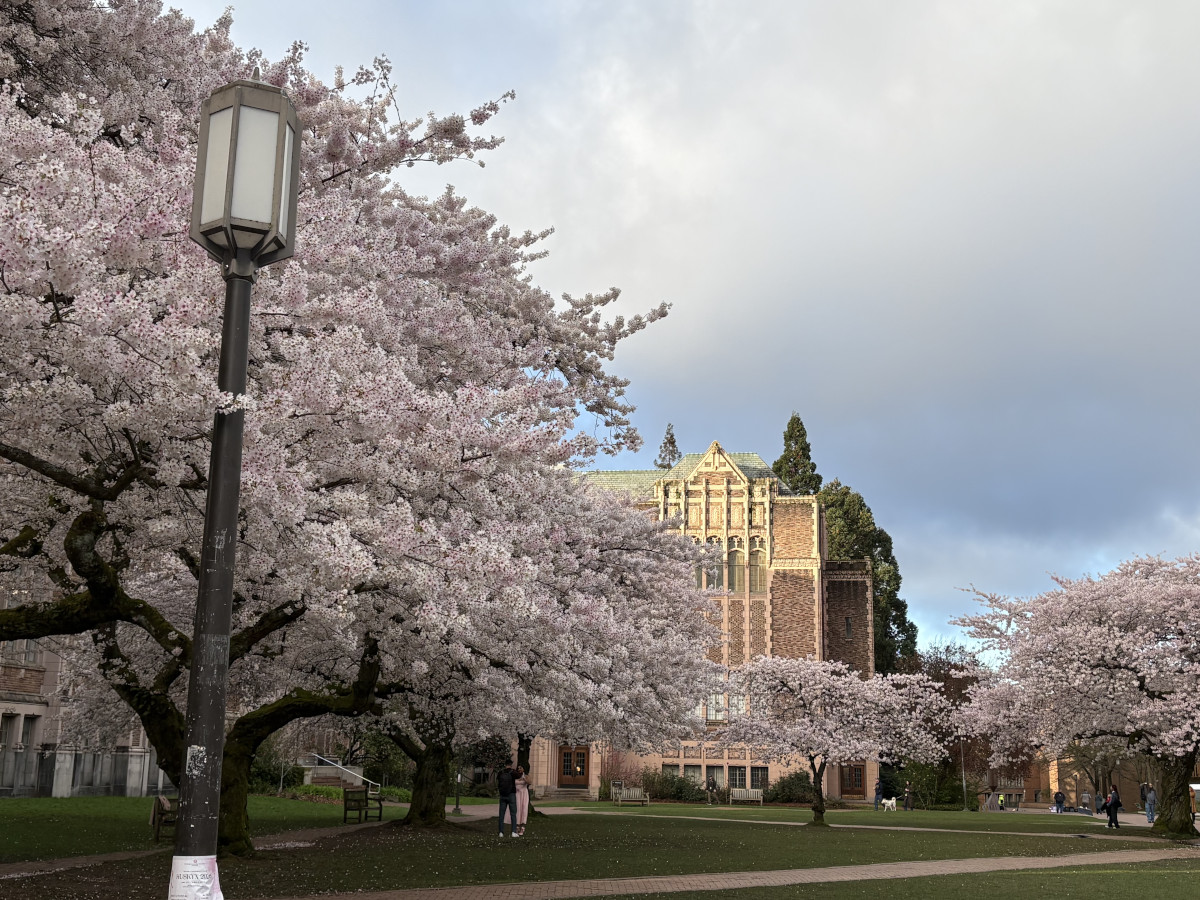 College campus